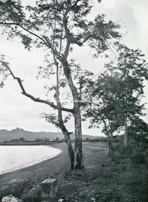 Indonesi, 1907, Onbekend, AVONDSTEMMING AAN JAVA'S ZUIDERSTRAND