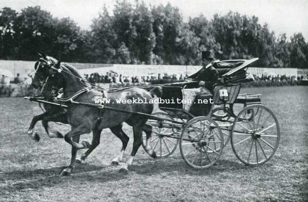 Onbekend, 1907, Onbekend, EEN PRIMA tweespan VAN PHILIPPOT & MATHIEU. BRuSSEL