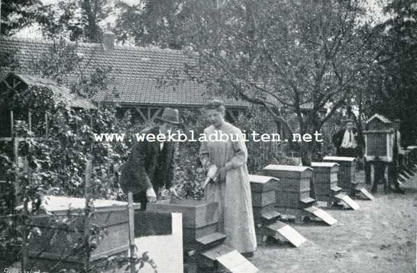 Onbekend, 1907, Onbekend, KASTONDERZOEK IN VOLZOMER. W-B-C-kasten en een weegkast