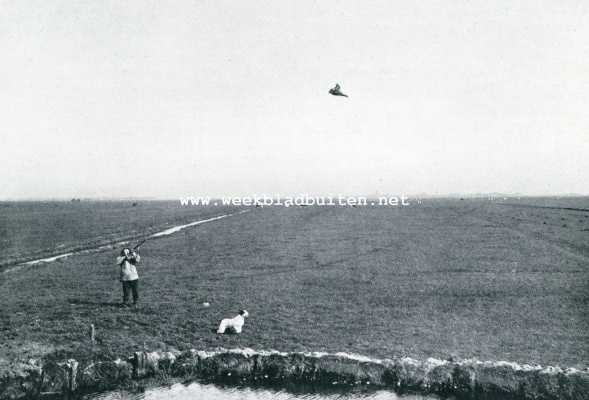 Nederland, 1907, Onbekend, Jacht-causerie. De hond wacht, om na het schot te apporteeren