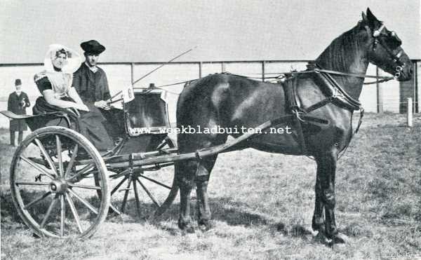 Zuid-Holland, 1907, Den Haag, De afdeeling paarden op de Landbouwtentoonstelling te 's-Gravenhage. Zeeuwsche kleederdracht (Zuid-Beveland)