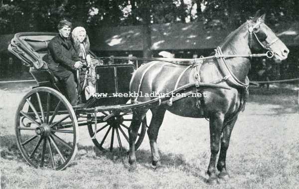 Zuid-Holland, 1907, Den Haag, De afdeeling paarden op de Landbouwtentoonstelling te 's-Gravenhage. Zeeuwsche boer en boerin uit Zeeuwsch-Vlaanderen O.D.; Axel