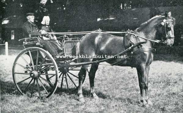 Zuid-Holland, 1907, Den Haag, De afdeeling paarden op de Landbouwtentoonstelling te 's-Gravenhage. Utrechtsche boerenkleedij