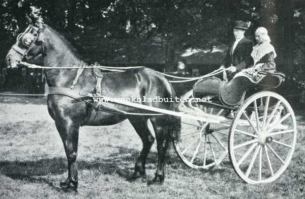 Zuid-Holland, 1907, Den Haag, De afdeeling paarden op de Landbouwtentoonstelling te 's-Gravenhage. Friesche boer en boerin