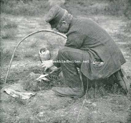 Onbekend, 1907, Onbekend, Valkenvangst. Lokduif en valkonder het slagnet