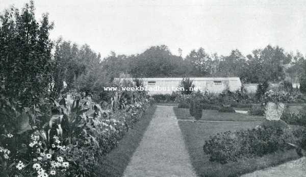 Drenthe, 1908, Frederiksoord, Landbouw. Gezicht in den tuin der G.A. van Swieten tuinbouwschool