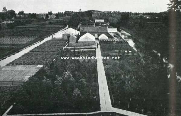 Zuid-Holland, 1908, Boskoop, Landbouw. Gezicht op den tuin der Rijkstuinbouwwinterschool te Boskoop
