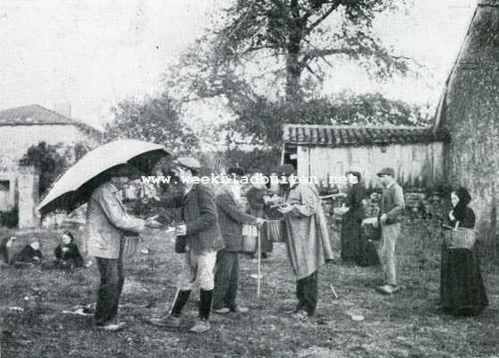 Frankrijk, 1908, Sorges, De truffel. Op de truffelmarkt te Sorges