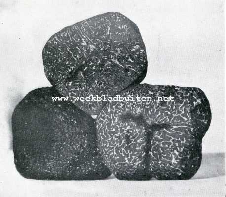 Frankrijk, 1908, Onbekend, De truffel. Doorsnede van de Perigord truffel (Tuber Melanosporum)