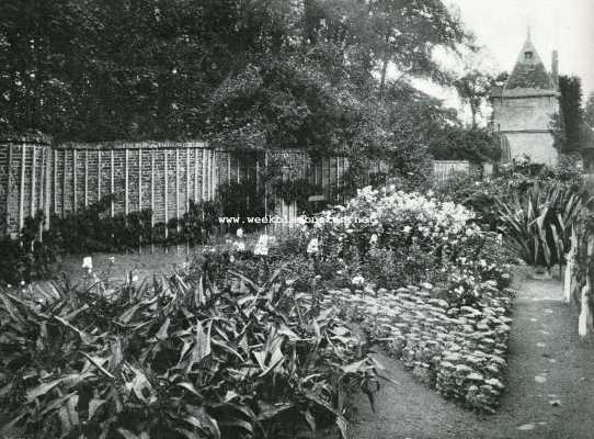 Utrecht, 1908, Zuylen, Het Kasteel Zuylen. Tuindetail met slangvormige tuinmuur