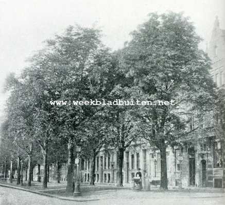 Belgi, 1908, Brussel, Bemeste boomen op 30 October 1901 van de Avenue Louise te Brussel