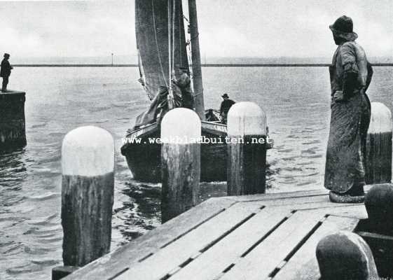Onbekend, 1908, Onbekend, Zuiderzeeharing. Binnenkomende haringvisscher