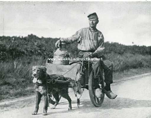 Onbekend, 1908, Onbekend, Iets over trekhonden. Een slecht spannetje