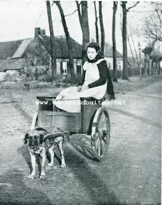 Iets over trekhonden. Boerenwerkkarretje uit Noord-Brabant