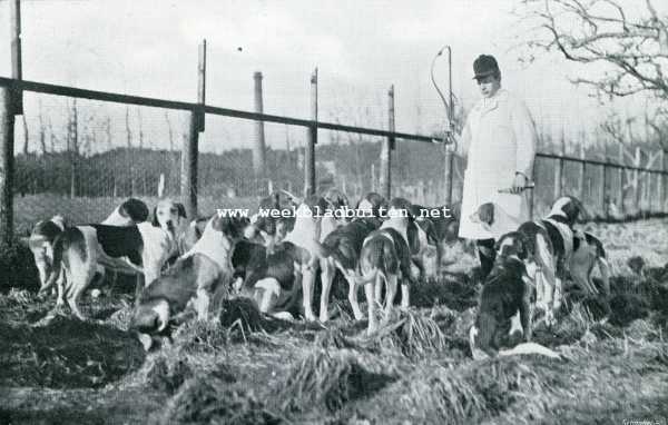 Gelderland, 1908, Velp, Iets over jachtrijden en de Koninklijke Veluwsche Jachtvereeniging. De whip met de honden in den grasloop bij de kennels