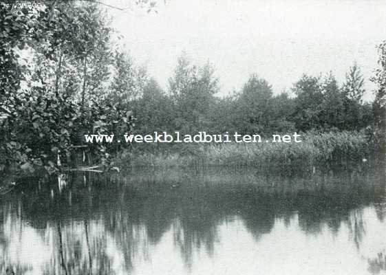 Gelderland, 1908, Beek, Een prachtige maar waterarme streek van ons vaderland. Een deel van het meertje bij Beek. Dit meertje is gevormd door de afdamming van een deel van de kleibodem aldaar en wordt gevoed door de in afb. III afgebeelde bronnen