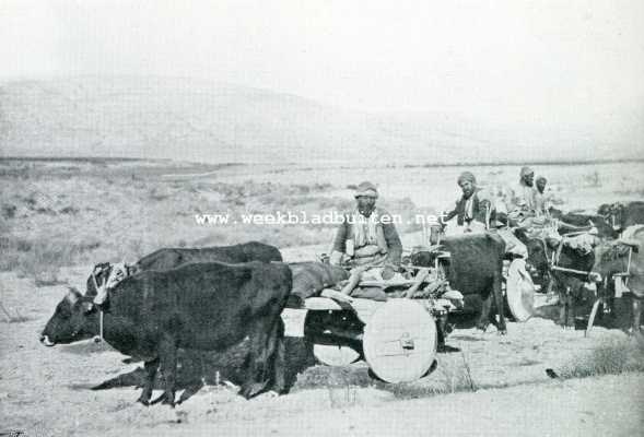 Turkije, 1908, Onbekend, Turksche boeren aan den arbeid