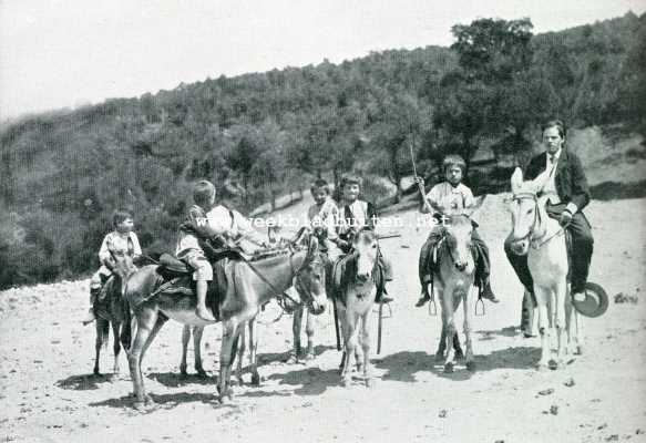 Turkije, 1908, Onbekend, Ezeljongens