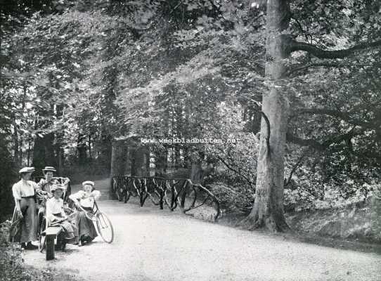 Zuid-Holland, 1908, Den Haag, Het Haagsche Bosch. Naar het tennisveld