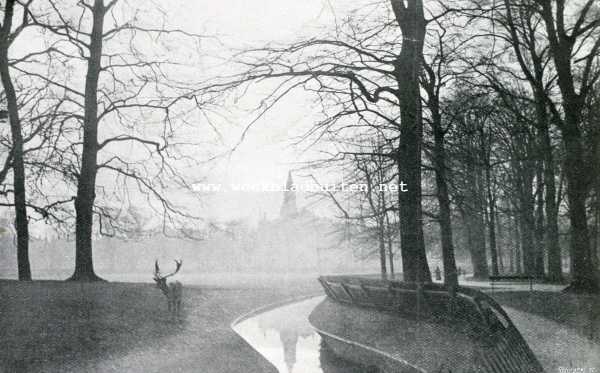 Zuid-Holland, 1908, Den Haag, Het Haagsche Bosch. De hertenkamp