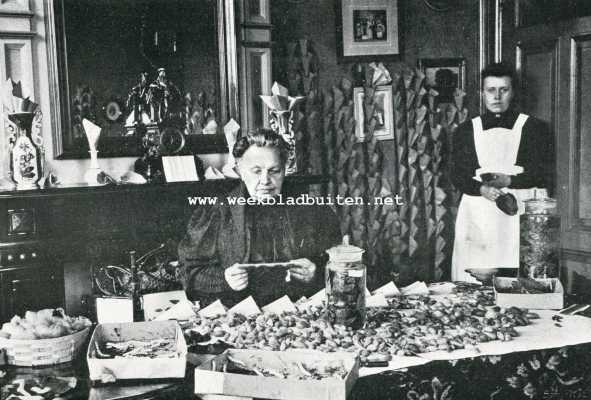 Onbekend, 1908, Onbekend, Zijde-cultuur in Nederland. Zijdeteelt in het klein. Rupsen, cocons, voedsel in flesschen, peperhuisjes om in te spinnen