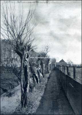 Noord-Holland, 1909, Amsterdam, Van den Amsterdamschen zelfkant. Wilgenlaantje achter de Ceintuurbaan