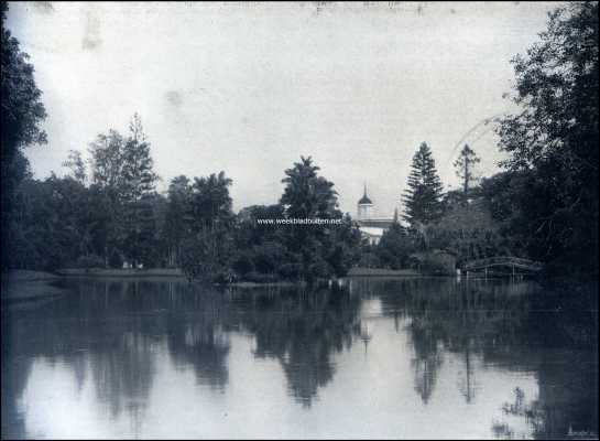 Indonesi, 1909, Buitenzorg, Op Java. Buitenzorg. In het Park 2