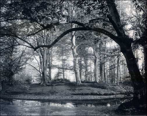 Noord-Holland, 1909, 's-Graveland, Gooilust. Bij de Oude Waterpartij