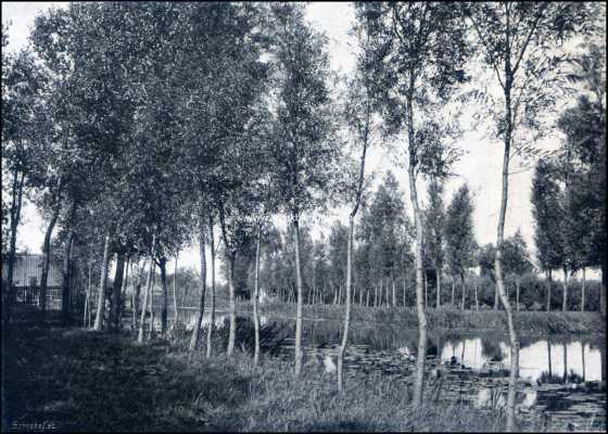 Noord-Holland, 1909, Onbekend, Aan het Gein. Het Gein bij smal Weesp