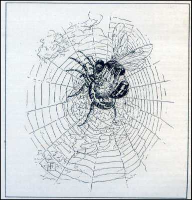 Roofwespen. Een Blauwe Metselwesp draagt een spin weg uit haar web