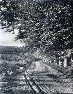 Gelderland, 1909, Heveadorp, De Italiaansche Weg bij de Duno
