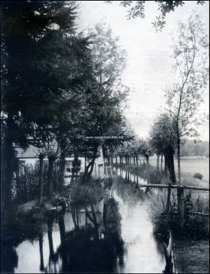 Gelderland, 1909, Renkum, Een beekje te Renkum