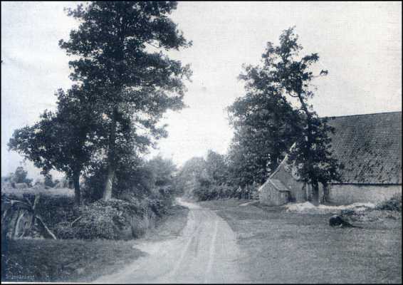 Groningen, 1909, Onbekend, De oude heerlijkheid Westerwolde. Westerwolde. Landweg door een gehucht