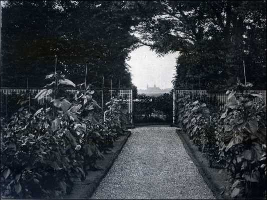 Noord-Brabant, 1909, Den Bosch, Gezicht van den tuin van Huize Muiserick uit op de St. Janskerk te 's-Hertogenbosch