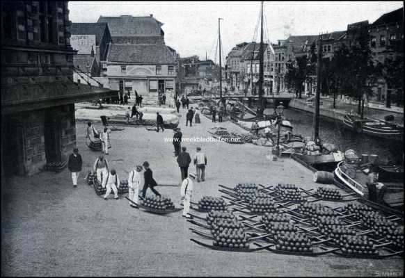 Noord-Holland, 1909, Alkmaar, De Kaasmarkt te Alkmaar. Het vervoer