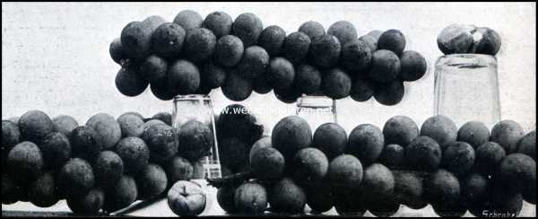 Onbekend, 1909, Onbekend, Bataviasche Vruchten. Boewah Dalima (granaatappel: Granatium Punica)