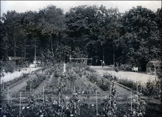 De groote tuinbouwtentoonstelling te Zeist. Het middenterrein met het rosarium van de firma Gebr. Gratama & Co., Hoogeveen