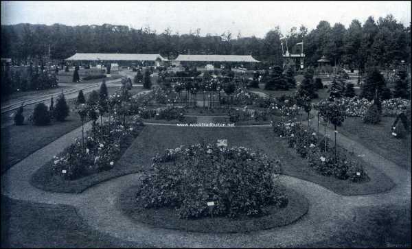 Utrecht, 1909, Zeist, De groote tuinbouwtentoonstelling te Zeist. Detail achterterrein met rosarium van de firma H. Copijn & Zoon, Groenekan