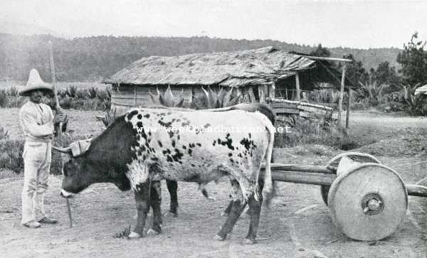 Onbekend, 1909, Onbekend, Van den Maguey. Op een 