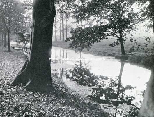Onbekend, 1909, Onbekend, Herfstpeinzingen. Sloot langs den boschzoom