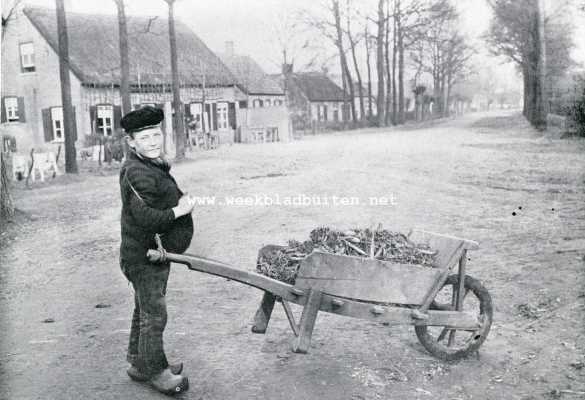 Noord-Brabant, 1909, Onbekend, Noord-Brabant. Een flinke Noordbrabantsche boerenjongen