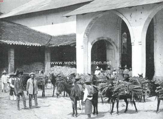 Mexico, 1910, Onbekend, Al verder zuid. Op een Mexicaansche suiker-hacienda