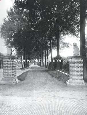 Noord-Brabant, 1910, Sint-Oedenrode, Het kasteel Henkenshage. De inrijlaan met de Leeuwenpoort aan den weg van St. Oedenrode-Best