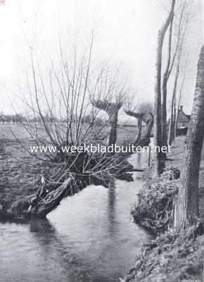 Gelderland, 1910, Onbekend, Wilgensloot in de Betuwe
