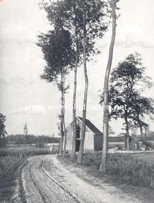 Limburg, 1910, Meerlo, Weg naar den watermolen bij het voormalige kasteel van Meerlo