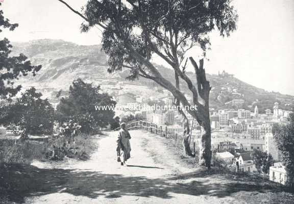 Algerije, 1910, Algiers, Buiten aan Afrika's noordkust. I. Nieuw-Algiers en Mustapha. Algiers. Op den weg naar Mustapha