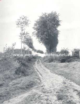 Limburg, 1910, Gennep, Omgeving van Gennep. Weg naar de rune