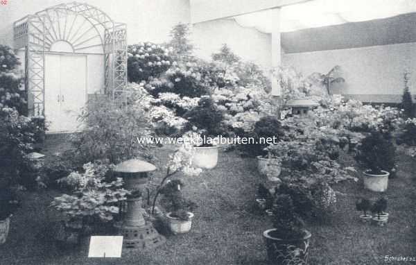 Noord-Holland, 1910, Haarlem, Nationale bloemententoonstelling te Haarlem. V. De derde en vierde tijdelijke. Japansche dwergplanten