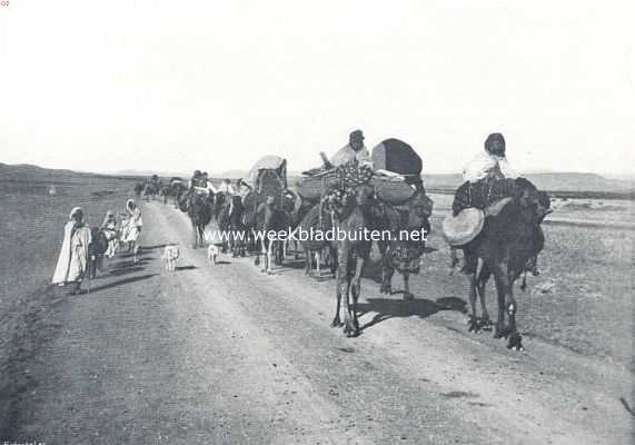 Noord-Afrika, 1910, Onbekend, Van palmen en kameelen. Deel van een nomadenstam op marsch 1