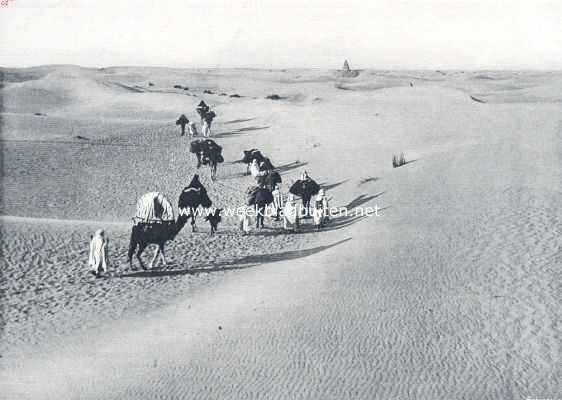 Van palmen en kameelen. Deel van een nomadenstam op marsch 2